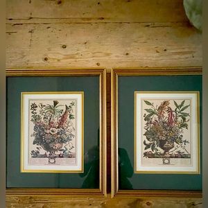 Robert Furber Vintage Print
‘12 months of flowers’ 
DECEMBER & JANUARY